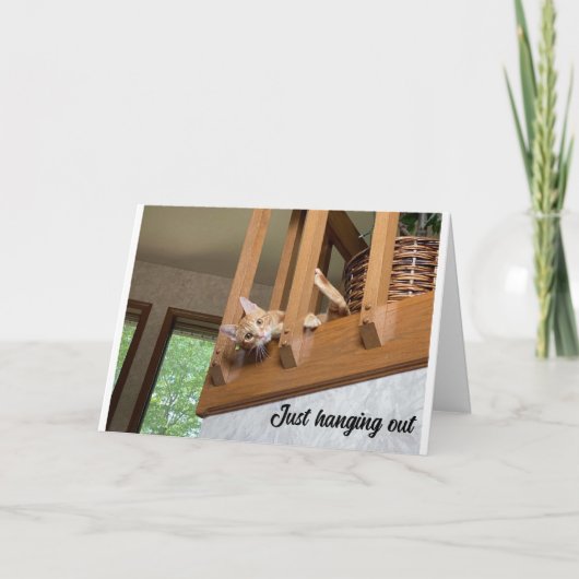 OUT CAT CARDぶら下がったの「ハッピーバレンタインデー」 カード (正面)