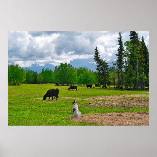 Out in the Pasture Poster ポスター (正面)