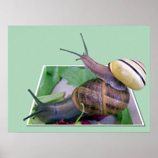 Out of Boundsプリント ポスター (正面)