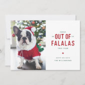Out of Falalasおもしろい犬クリスマスカード シーズンカード (正面)