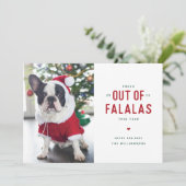 Out of Falalasおもしろい犬クリスマスカード シーズンカード (スタンド正面)