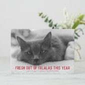 Out of Falalas皮肉なおもしろいホリデーカード シーズンカード (スタンド正面)