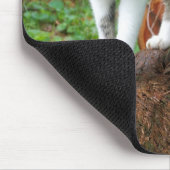 Out on a Cat Walk -子猫マウスパッド マウスパッド (コーナー)