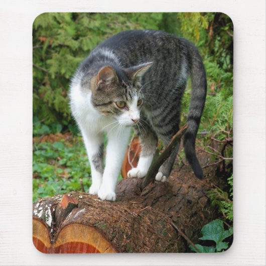 Out on a Cat Walk -子猫マウスパッド マウスパッド (正面)
