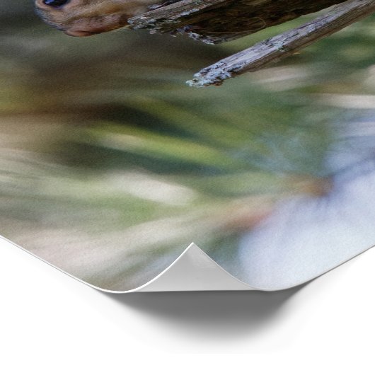 Out on a Limb ポスター (角)