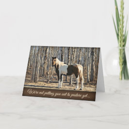 Out to Pasture - Birthday Card カード