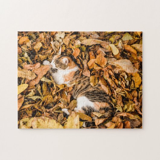 Outdoor Autumn Leaves Fall Tabby Calico Cat Photo ジグソーパズル (横)