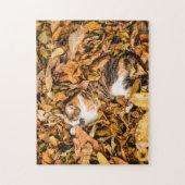 Outdoor Autumn Leaves Fall Tabby Calico Cat Photo ジグソーパズル (縦)