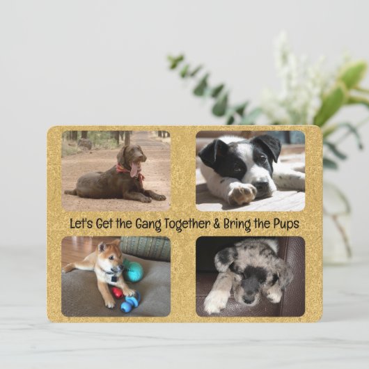 Outdoor Party Invitation Four Replaceable Photos 招待状 (スタンド正面)