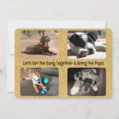 Outdoor Party Invitation Four Replaceable Photos 招待状 (正面)