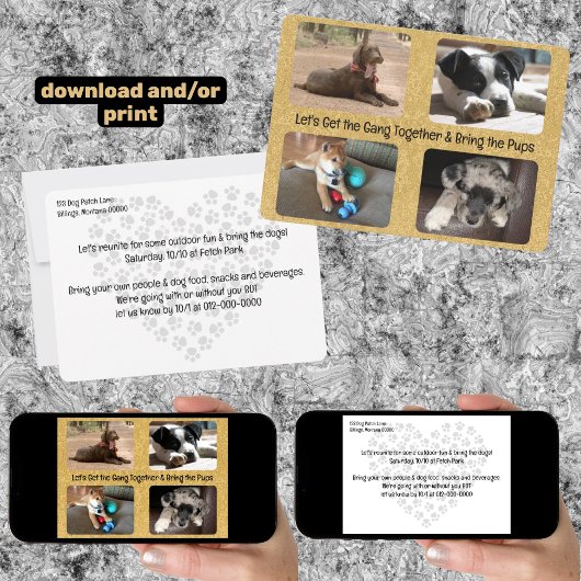 Outdoor Party Invitation Four Replaceable Photos 招待状