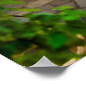 Outdoor Tables at Resturant ポスター (角)