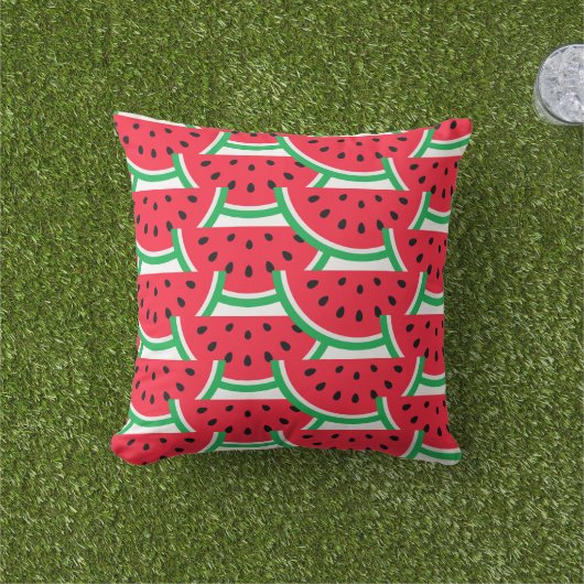 Outdoor Watermelon Throw Pillow アウトドアクッション (芝生)