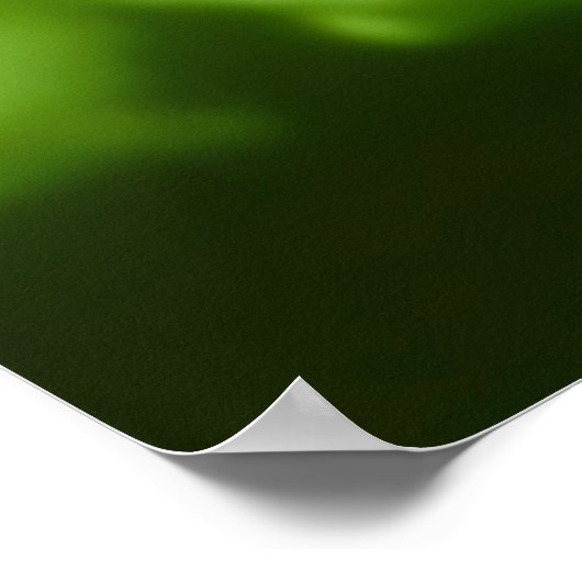 Outer Space Invader Kingdom ポスター (角)