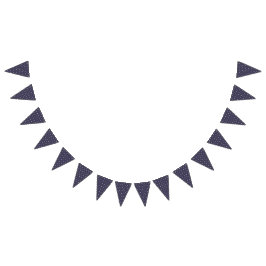  Outer Space Starry Birthday for Kids Party バンティングフラッグ