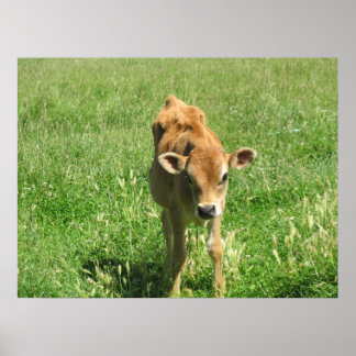 Outstanding In Hisフィールドフォトプリント ポスター