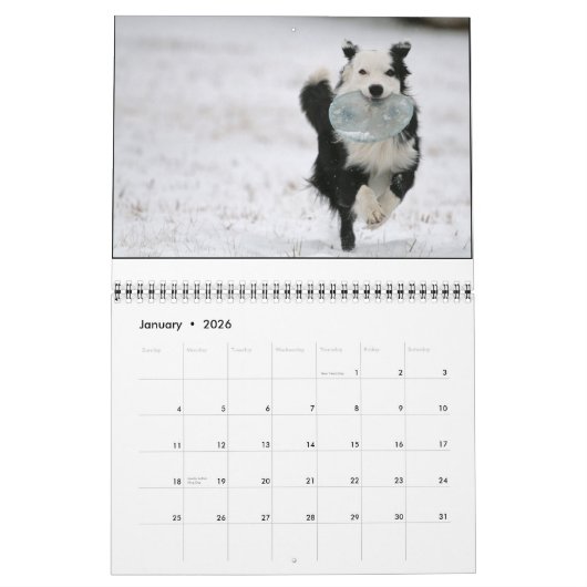 Ouzo 2010のカレンダー カレンダー (1月 2026)