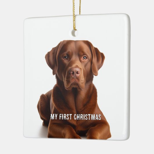 Oval Puppy私の初めてのクリスマス写真オーナメント セラミックオーナメント (左)
