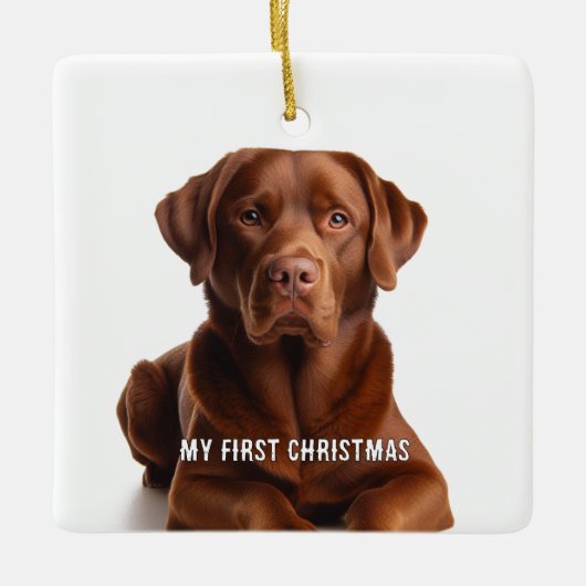 Oval Puppy私の初めてのクリスマス写真オーナメント セラミックオーナメント (正面)