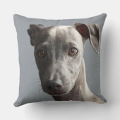 Over The Rainbow Bridge Gray Photo Pet Memorial クッション (裏面)