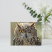 Owlフォトポストカード ポストカード (スタンド正面)
