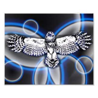 Owl フォトプリント