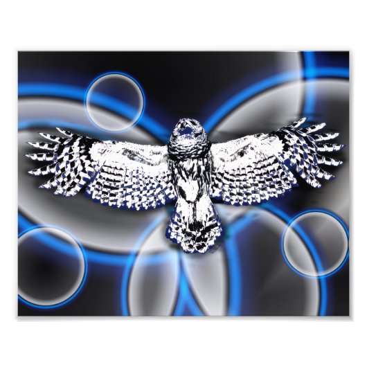 Owl フォトプリント (正面)