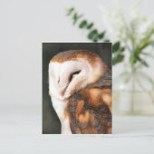 OWL ポストカード (スタンド正面)