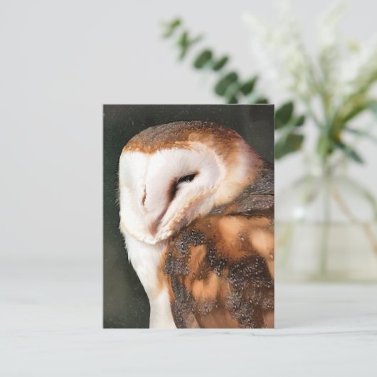 OWL ポストカード (スタンド正面)