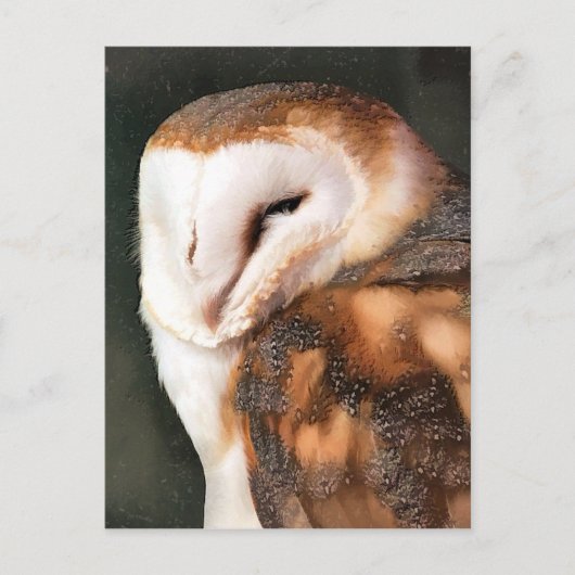 OWL ポストカード (正面)