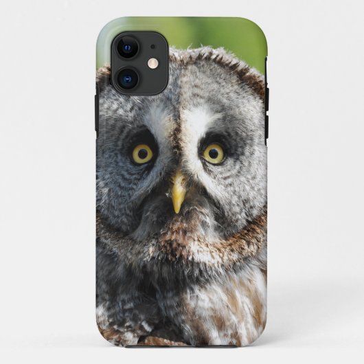 Owl_20180219_by_JAMFoto Case-Mate iPhoneケース (裏面)