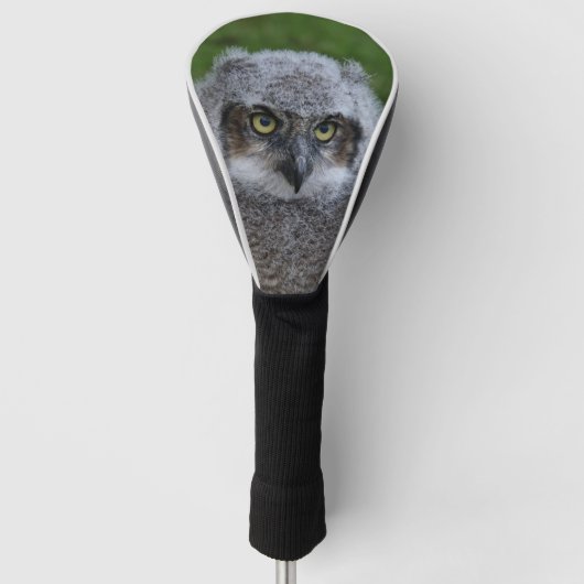Owl_2019001 ゴルフヘッドカバー (正面)