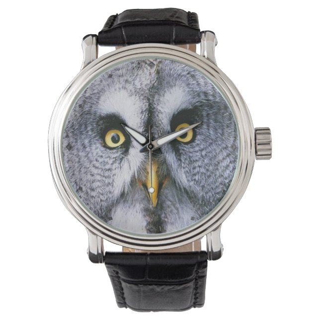 Owl 2 Watch & Numeralオプション 腕時計 (正面)