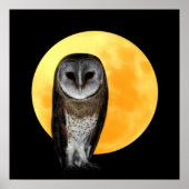 Owl and the full moon ポスター (正面)