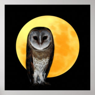 Owl and the full moon ポスター