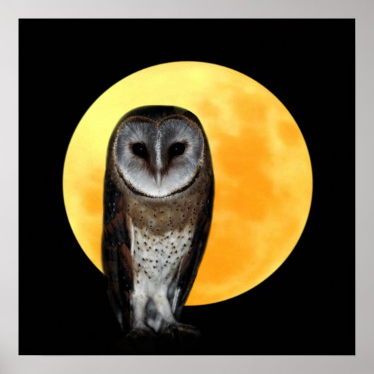 Owl and the full moon ポスター (正面)