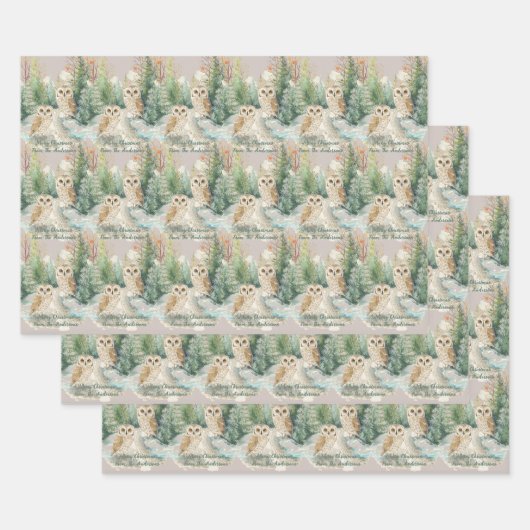 Owl Chrismas Wrapping Paper Flat Sheet Set of 3 ラッピングペーパーシート (セット)