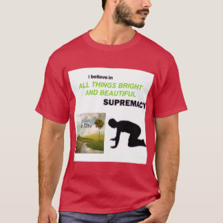 OWL CITY ALLHINGS BRIGHT AND BEAUTIFUL ヴィンテージ Tシャツ