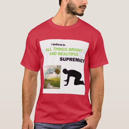 OWL CITY ALLHINGS BRIGHT AND BEAUTIFUL ヴィンテージ Tシャツ (正面)