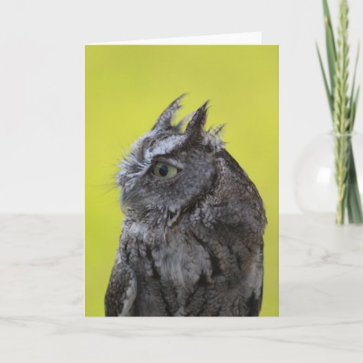 Owl Greetingカード カード (正面)