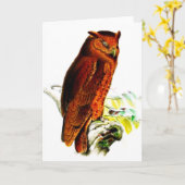 Owl Greeting Card カード (黄色い花)