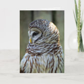 Owl Greeting Card (0711) カード (正面)