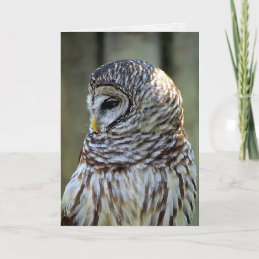 Owl Greeting Card (0711) カード (正面)