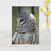 Owl Greeting Card (0711) カード (黄色い花)