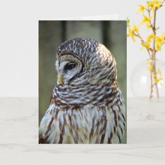 Owl Greeting Card (0711) カード (黄色い花)