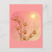 Owl Greeting Cards ポストカード (正面)
