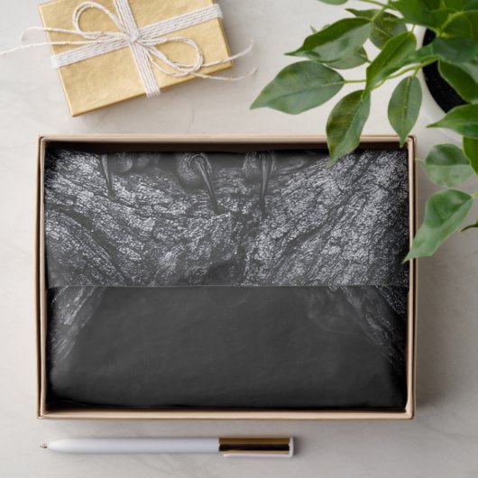 Owl in a Tree Hollow Black and White 薄葉紙 (ギフト)