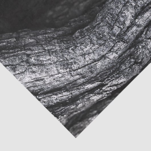 Owl in a Tree Hollow Black and White 薄葉紙 (詳細)