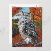Owl in Autumn forest fine art ポストカード (正面/裏面)