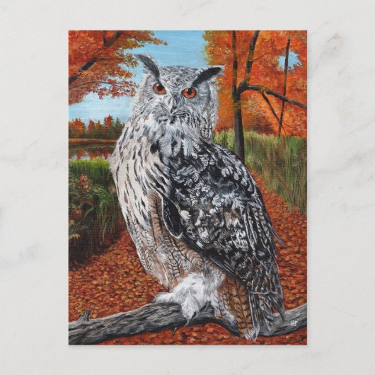 Owl in Autumn forest fine art ポストカード (正面)